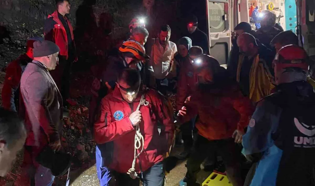 Kastamonu’nun Küre ilçesinde dağlık alanda dolaştığı sırada dengesini kaybederek uçuruma