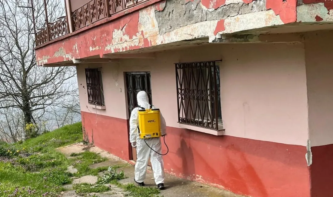 DÜZCE(İHA) – Düzce’de kışlak kahverengi kokarcasına yönelik kışlak alanlarda ilaçlama