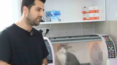Kocaeli’nin Körfez ilçesinde diyafram fıtığı nedeniyle nefes almakta güçlük çeken