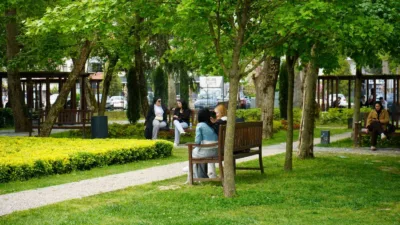 Sakarya’da günlerdir etkisini gösteren soğuk hava, dün itibariyle yerini güneşe
