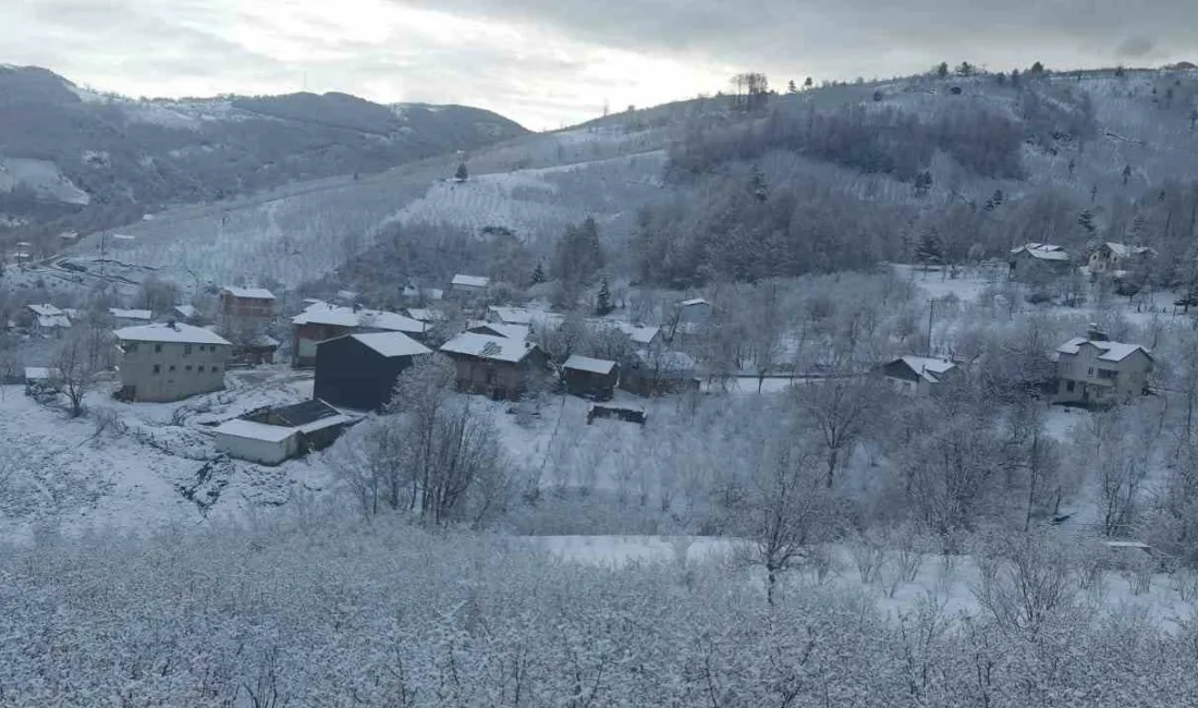 Sakarya’nın Hendek ilçesinin yüksek kesimlerinde etkili olan kar yağışı, yaylaları
