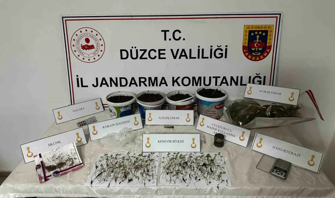 Düzce’de evinde saksı içerisinde kenevir bitkisi yetiştiren şahıs, düzenlenen baskınla