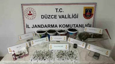 Düzce’de evinde saksı içerisinde kenevir bitkisi yetiştiren şahıs, düzenlenen baskınla