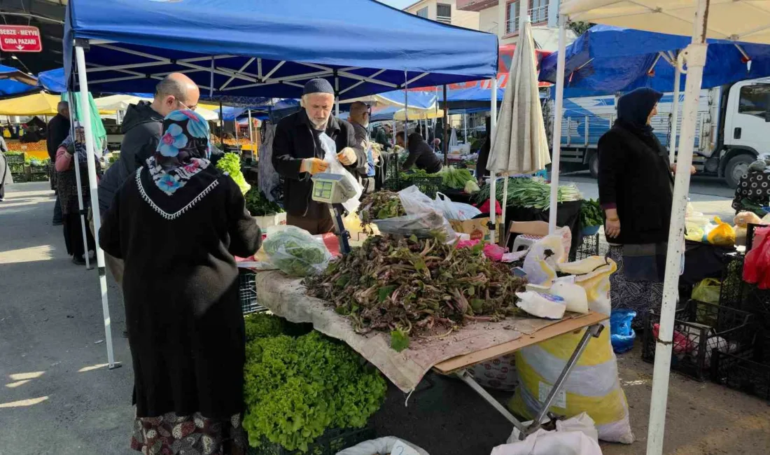 DÜZCE (İHA) – Düzce’nin yüksek kesimleri ve dik yamaçlarında bahar