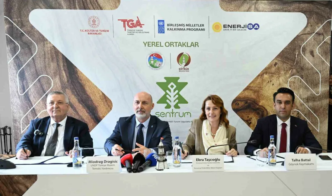 Enerjisa Enerji, Birleşmiş Milletler Kalkınma Programı (UNDP), Kültür ve Turizm