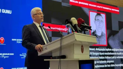 Türk Veteriner Hekimleri Birliği (TVHB) Genel Başkanı Ali Eroğlu, Dünya