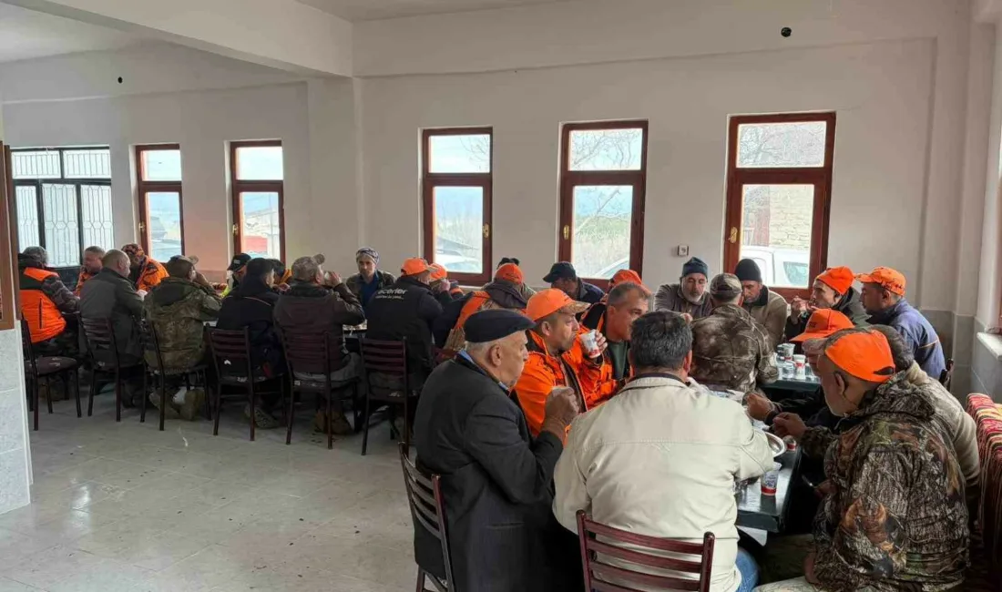 Ankara’nın Beypazarı ilçesinde ekili alanlara zarar veren yaban domuzlarına karşı