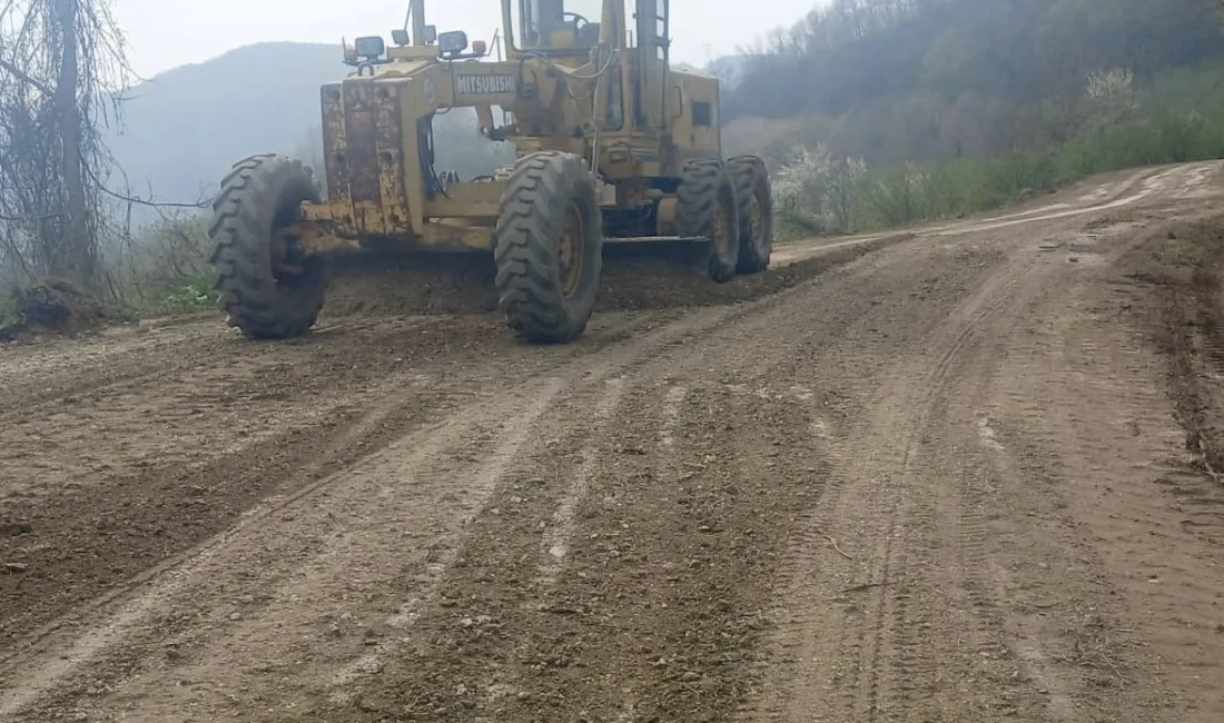 DÜZCE (İHA) – Düzce İl Özel İdaresi ekipleri ilçelerde yaz