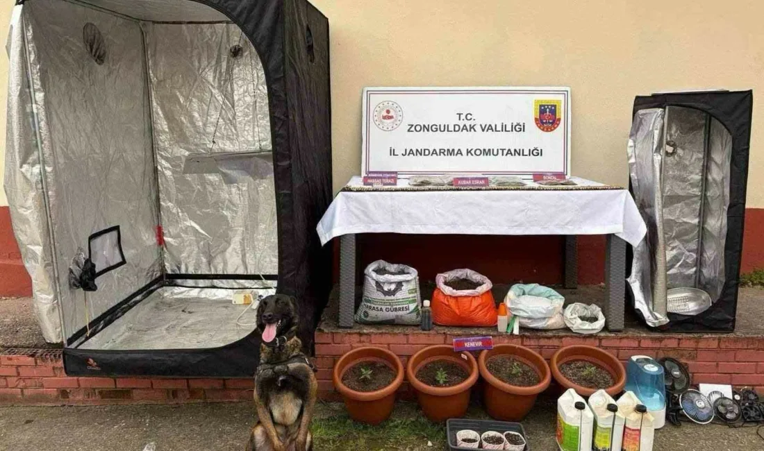 Zonguldak’ın Çaycuma ilçesinde jandarma ekiplerince düzenlenen uyuşturucu operasyonunda, evde uyuşturucu