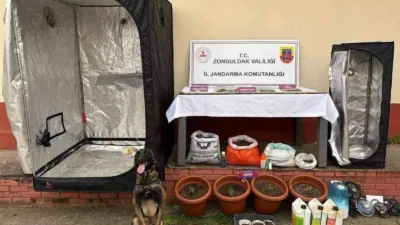 Zonguldak’ın Çaycuma ilçesinde jandarma ekiplerince düzenlenen uyuşturucu operasyonunda, evde uyuşturucu