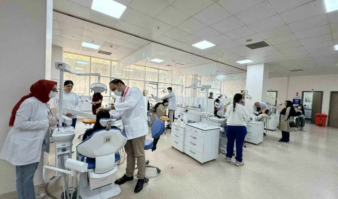 Zonguldak Bülent Ecevit Üniversitesi Diş Hekimliği Fakültesi Ortodonti Anabilim Dalı,