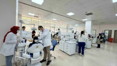 Zonguldak Bülent Ecevit Üniversitesi Diş Hekimliği Fakültesi Ortodonti Anabilim Dalı,