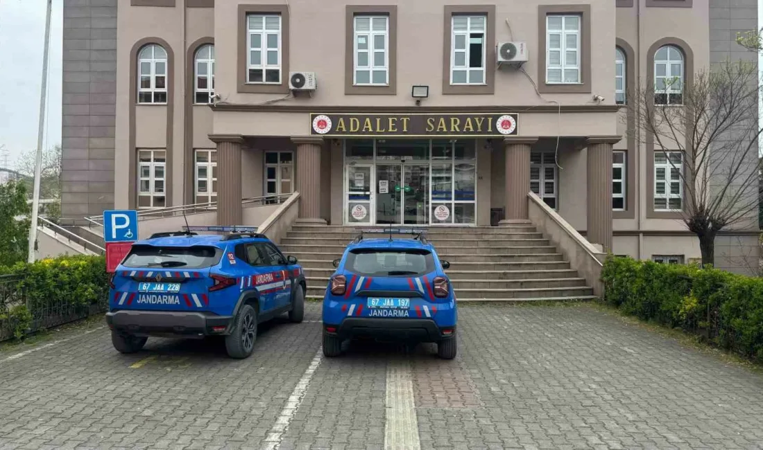 Zonguldak’ın Alaplı ilçesinde jandarmanın bir bahçeye yaptığı baskında halüsinasyona neden