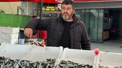 Zonguldak’ta balık tezgahlarında istavrit bereketi yaşanırken, kilosu 100 liradan satılan