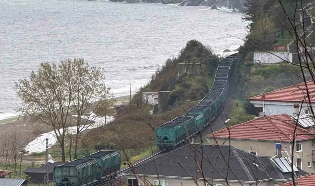 Zonguldak’ın Kilimli ilçesine bağlı Türkali Köyü’nde TCDD’ye ait yük treninin