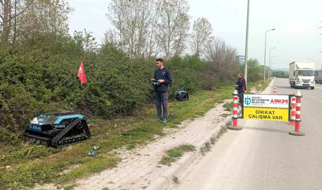 Kocaeli’de sürücülerin görüş açısını daraltan ve görüntü kirliliği oluşturan yabani