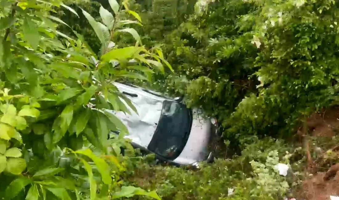 Sakarya’nın Sapanca ilçesinde kontrolden çıkan otomobil yaklaşık 5 metre yükseklikten