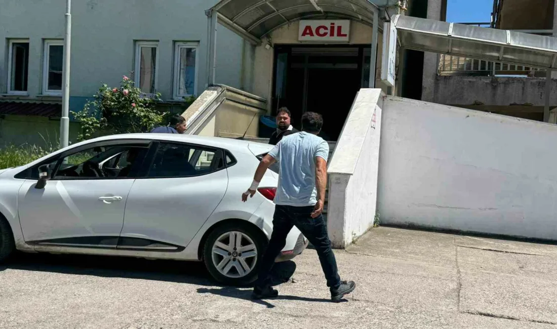 Zonguldak’ın Alaplı ilçesinde kurban keserken yaralanan 8 kişi, soluğu hastanelerde