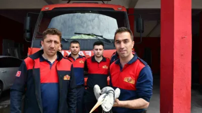 Zonguldak’ın Alaplı ilçesinde dere yatağında yaralı halde bulunan gri balıkçıl