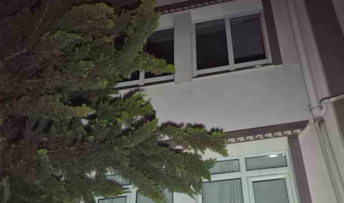 Ankara’nın Keçiören ilçesinde akşam saatlerinde bir ağaçta çıkan yangın söndürülemeyince,
