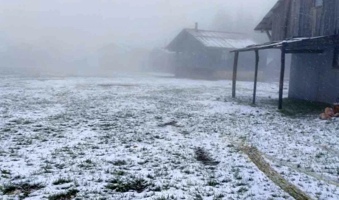 Sakarya’nın yüksek kesimlerinde mayıs ayının ilk günlerinde kar yağışı etkili
