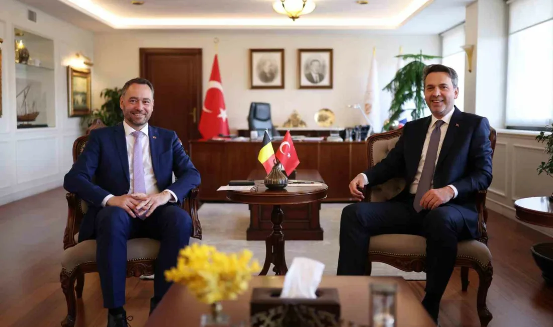 Enerji ve Tabii Kaynaklar Bakanı Alparslan Bayraktar, Belçika Başbakan Yardımcısı