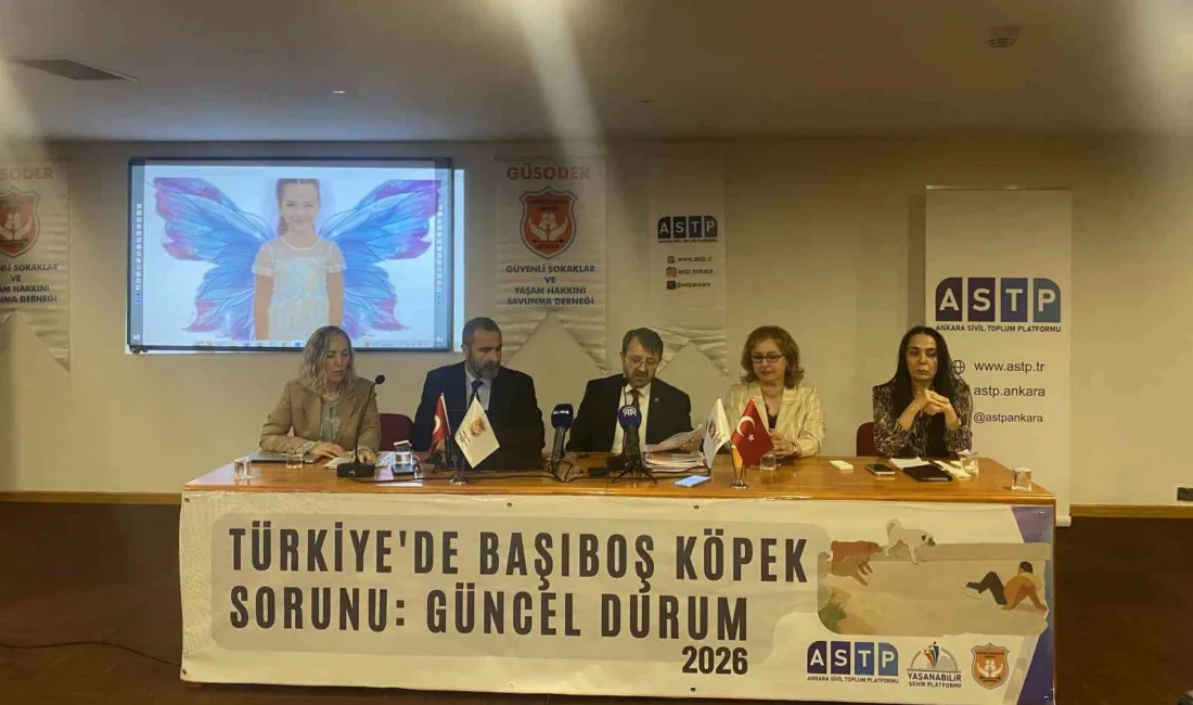 Ankara’da platformlar tarafından ‘Türkiye’de başıboş köpek sorunu’ paneli düzenlendi. Mağdurlar