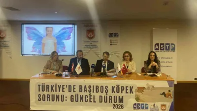 Ankara’da platformlar tarafından ‘Türkiye’de başıboş köpek sorunu’ paneli düzenlendi. Mağdurlar