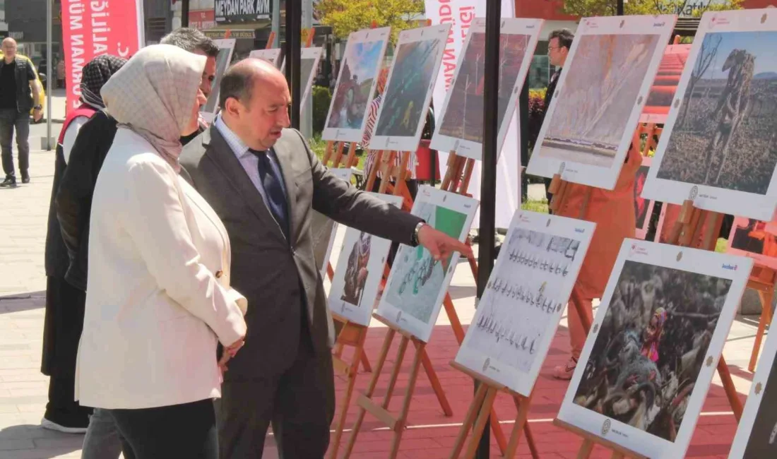 Tarım ve Orman Bakanlığı tarafından düzenlenen 15. Uluslararası Tarım Orman