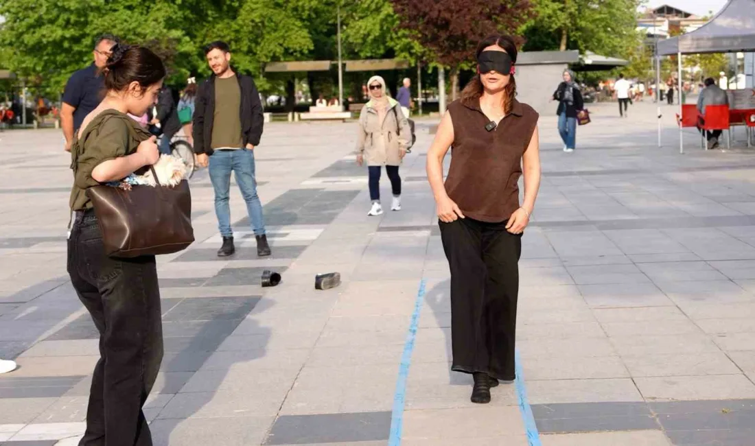 Düzce’de Engelliler Haftası dolayısıyla düzenlenen etkinlikte, işaret diliyle adres sorulan