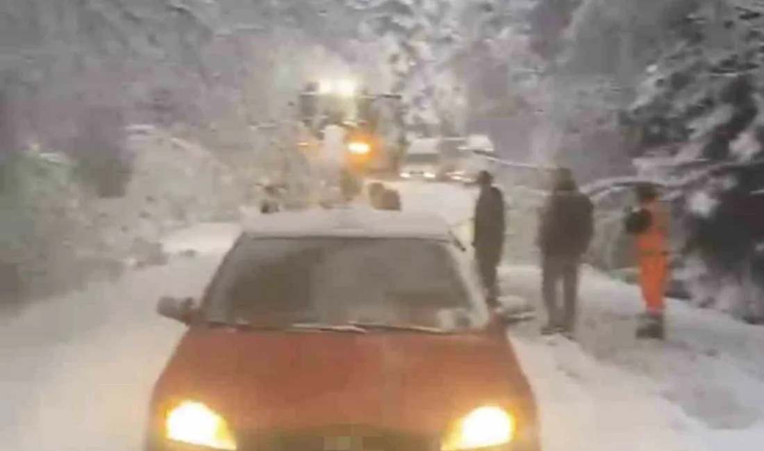 Bolu’da mayıs ayında etkili olan kar yağışı nedeniyle karın ağırlığına