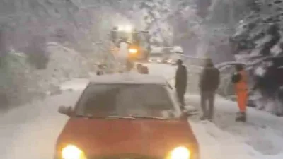 Bolu’da mayıs ayında etkili olan kar yağışı nedeniyle karın ağırlığına
