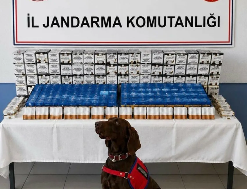 Bolu’da jandarma ekiplerince kaçakçılıkla mücadele kapsamında düzenlenen yol kontrolü ve