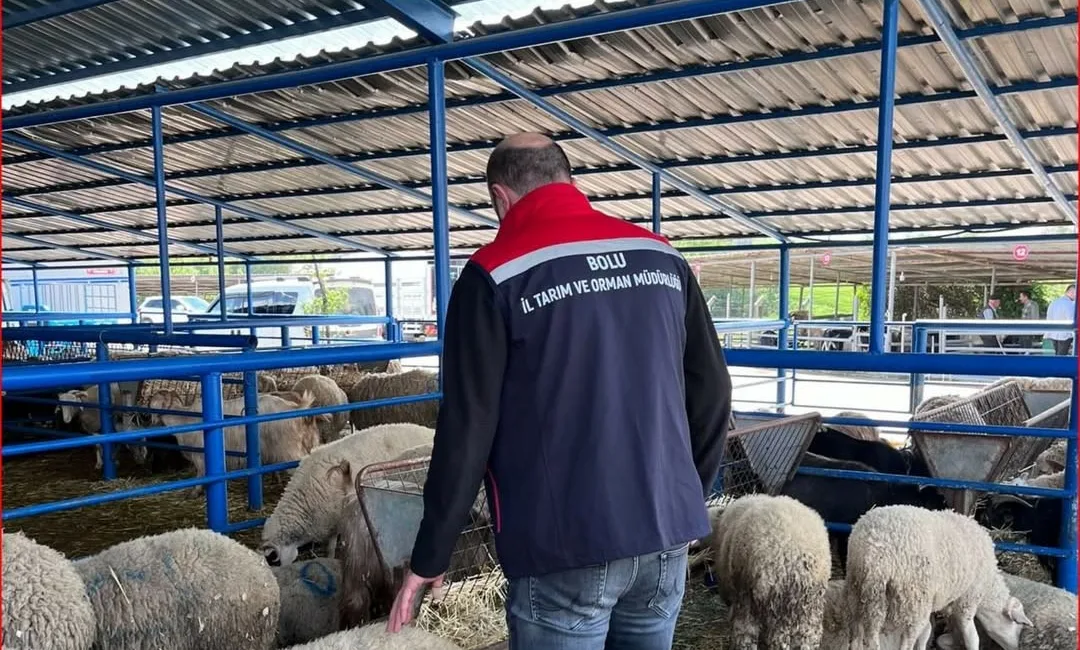 Bolu İl Tarım ve Orman Müdürlüğü ekipleri tarafından yaklaşan Kurban