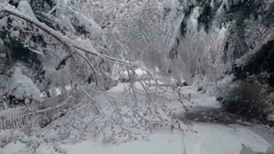 Bolu’nun önemli turizm merkezlerinden Gölcük Tabiat Parkı, mayıs ayında etkili