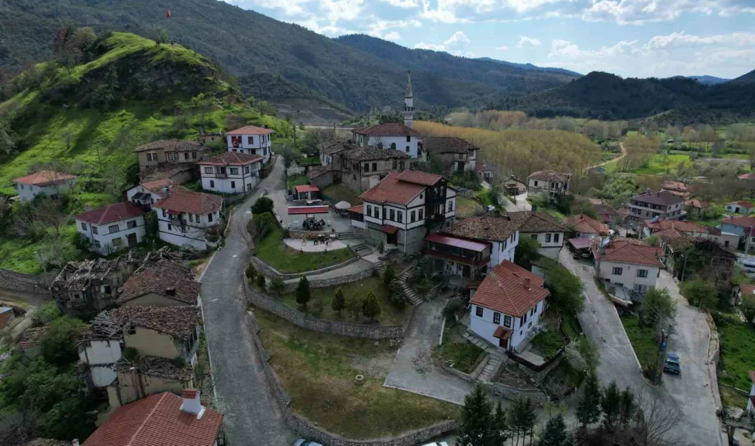 Osmanlı’dan günümüze taşınan geleneksel mimari yapısıyla hem sinema sektörünün hem