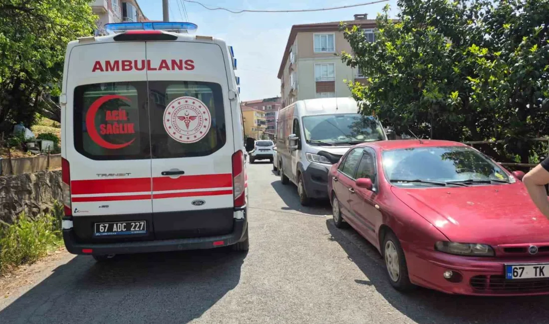 Zonguldak’ın Karadeniz Ereğli ilçesinde bir kişi, doğal gaz borusuna astığı