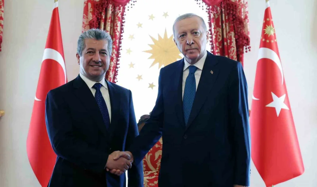 Cumhurbaşkanı Recep Tayyip Erdoğan, Irak Kürt Bölgesel Yönetimi (IKBY) Başbakanı