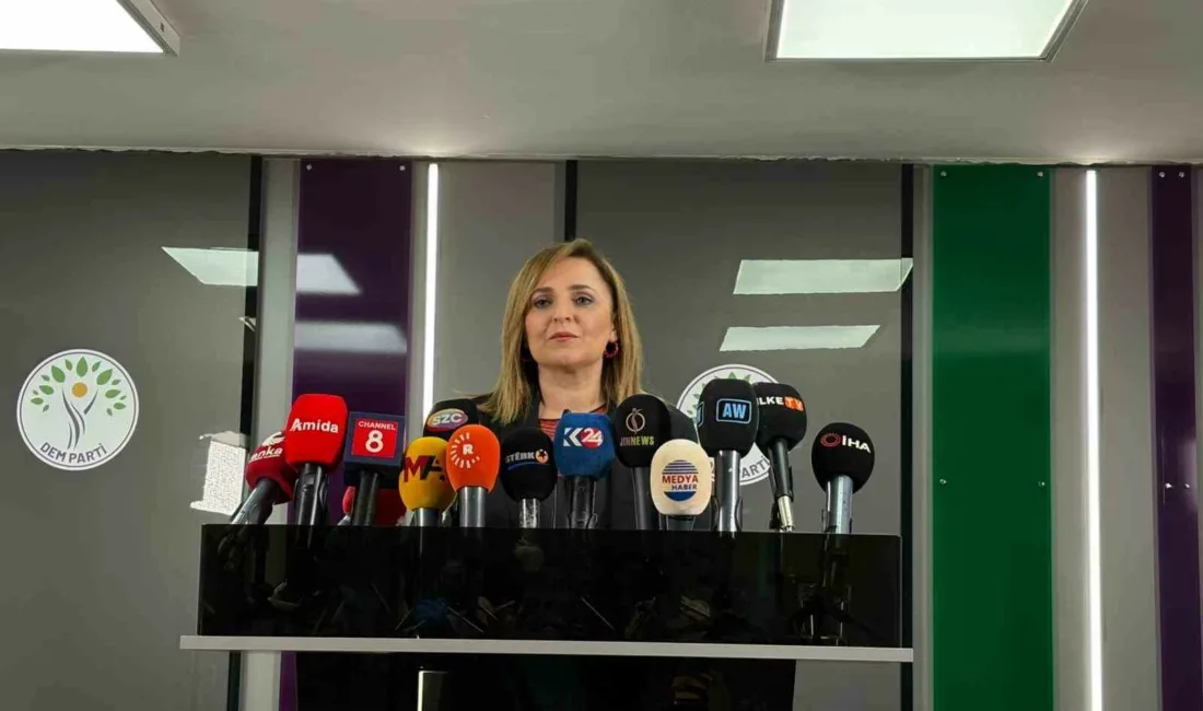 Halkların Eşitlik ve Demokrasi Partisi (DEM Parti) Sözcüsü Ayşegül Doğan,