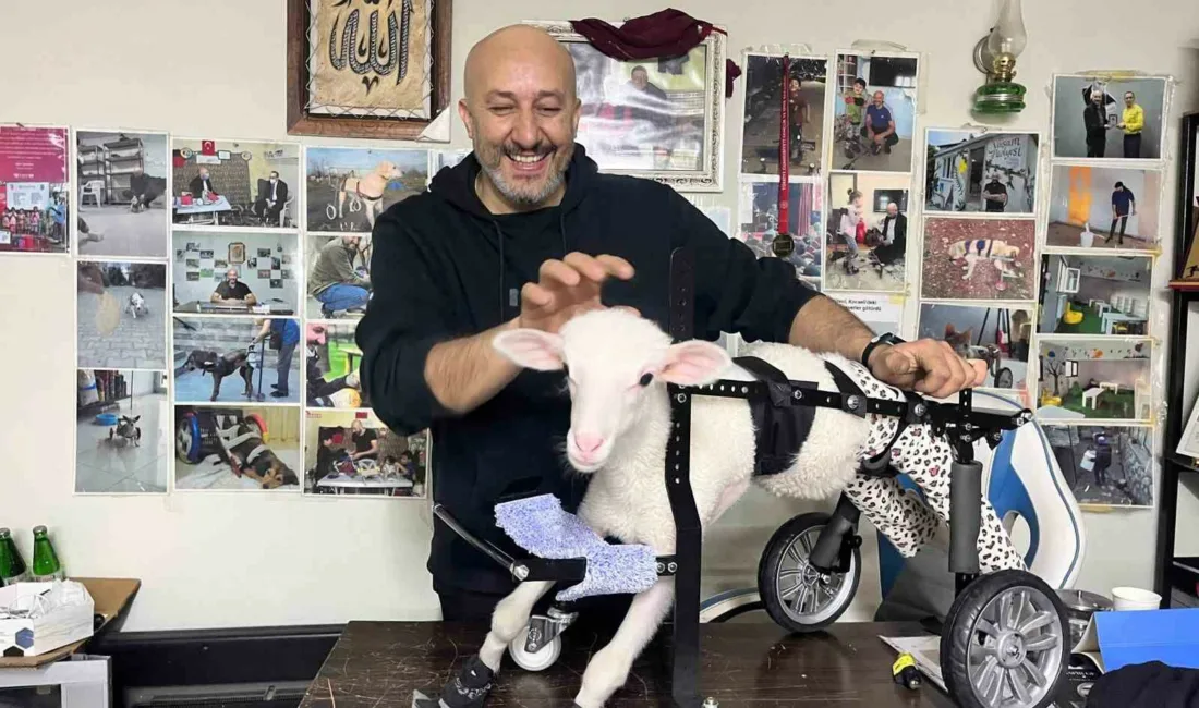 Kocaeli’nin Dilovası ilçesinde yaşayan hidrolik ustası Abdülmenaf Çelik, 20 metrekarelik