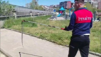 Zonguldak’ın Alaplı ilçesinde bir dernek binasının kapıdan girmeye çalışan 1,5