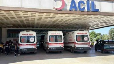 Düzce’de Kurban Bayramı’nın ilk gününde kurban kesimi sırasında yaralanan 154
