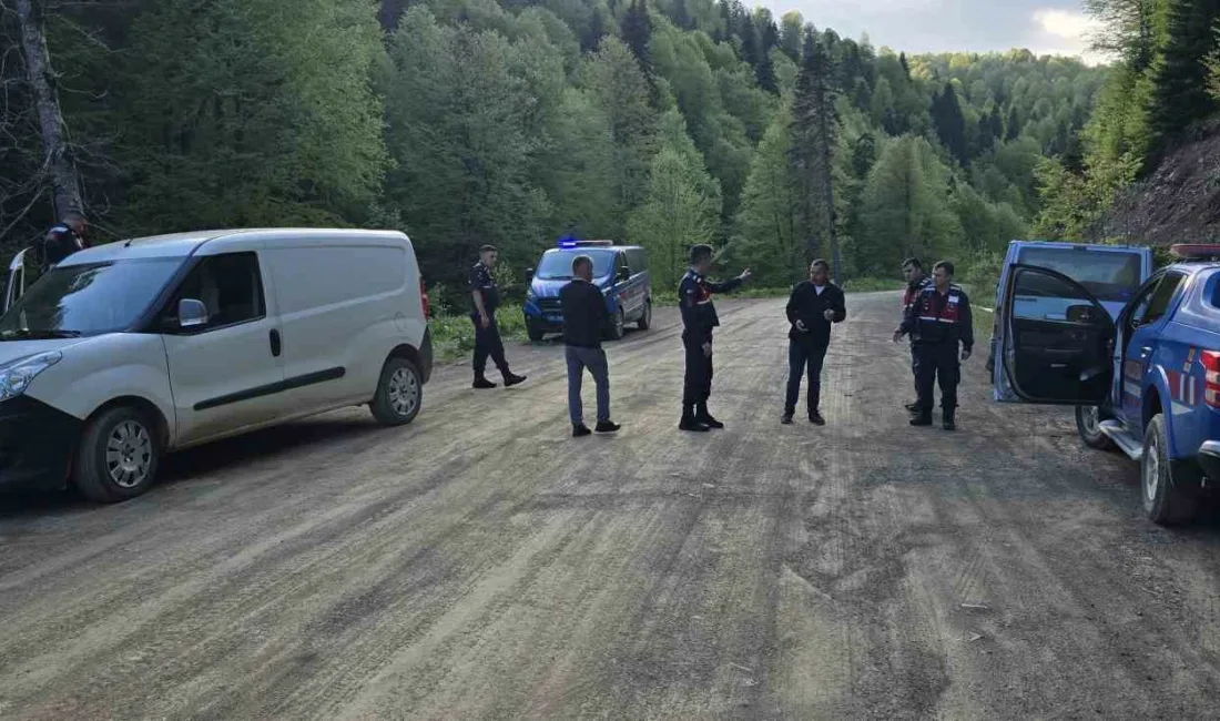 Düzce’de Samandere köyü ile Sinekli Yaylası arasında bulunan yolda erkek