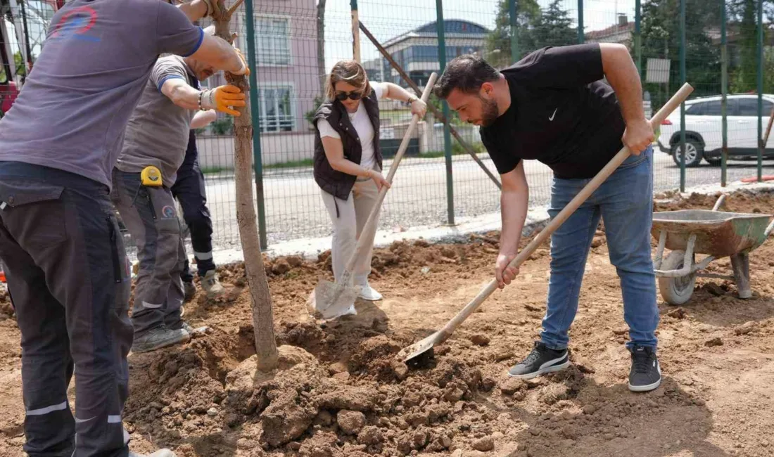 2″ projesinde çalışmalar hızla devam ediyor. Düzce Belediyesi tarafından Kültür