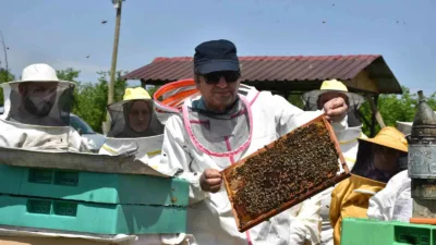 Sakarya’nın Hendek ilçesinde düzenlenen arı yetiştiriciliği kursu, farklı meslek grubu