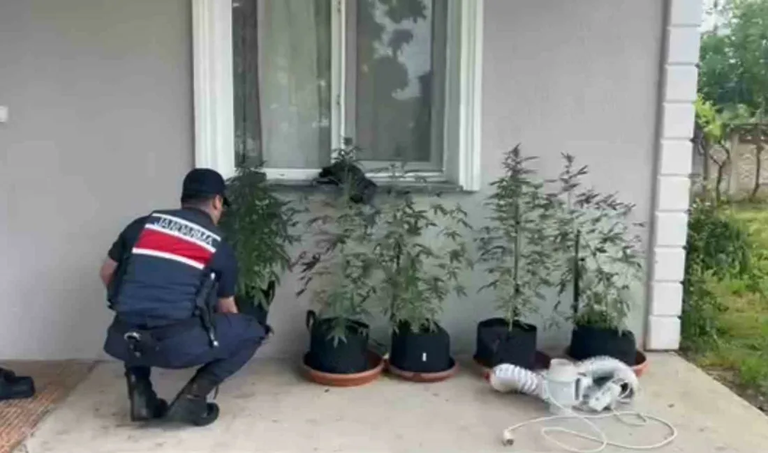 DÜZCE (İHA) – Düzce İl Jandarma Komutanlığı ekiplerinin yaptığı çalışmayla