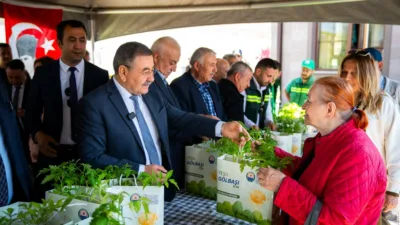Gölbaşı Belediyesi seralarında ata tohumlarından üretilen 190 bin fide vatandaşlara