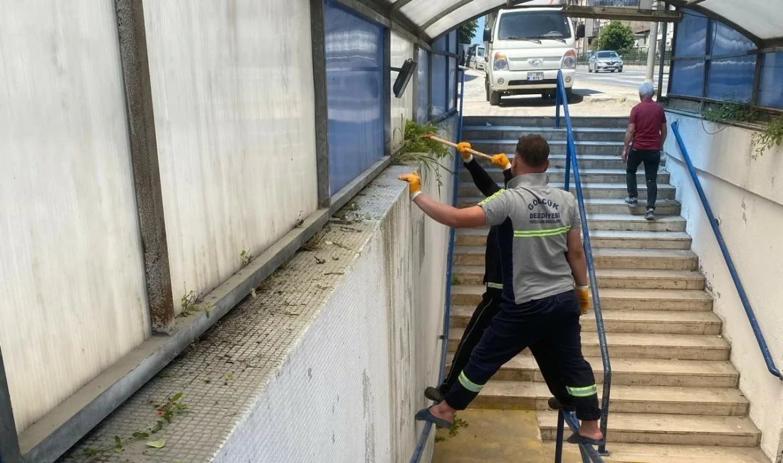 Gölcük Belediyesi ekipleri, ilçe sakinlerinin daha hijyenik ve huzurlu ortamda
