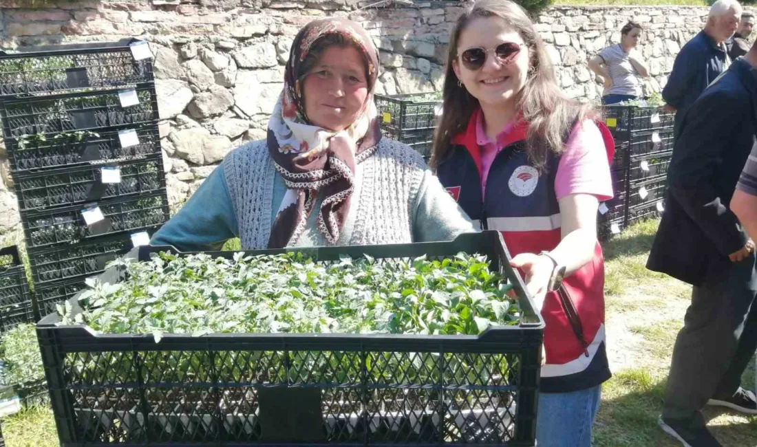 Kastamonu’nun Hanönü ilçesinde 160 kişiye 30 bin domates biber ve