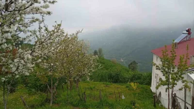 Sakarya’nın Hendek ilçesinde yüksek rakımlı bölgelerde baharın gelişi ve etkili